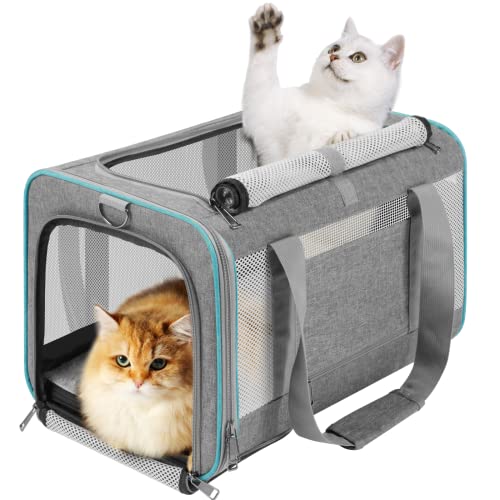 GAPZER Large Cat Carrier Soft, Collapsible Travel Pet Carry Bag, Small Dogs | Large Cats up to 20 lbs+ Maine Coon, Top Load Transport Small Puppy Dog Crate, Chihuahua Mini Dog 10lbs, Sturdy Mesh Grey - color: Grey