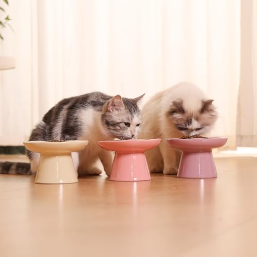 Wide Shallow 6.1" Raised Cat Bowls, Ceramic Elevated Food Plate for Flat Faced Cats and Small Dogs, Porcelain Feeder Bowl, Stress Free, Protect Cat’s Spine, Lavender - color: Lavender-Shallow