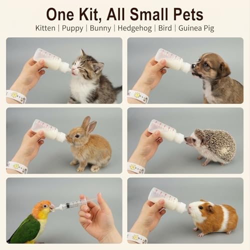 Pet Nursing Kit, 17 Pcs Newborn Kitten Bottle Feeding Kit, with 1/5/10ml Liquid Syringes, Replacement Silicone Nipples & Cleaning Brushes, for Newborn Kittens, Puppies, Rabbits, Small Animals