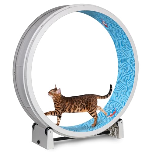 One Fast Cat - Cat Exercise Wheel - Made in the USA - 48" Diameter - Gen. 7 | White with Koi Pond Foam Traction Pads and Solid Black Inline Wheels - color: White Wheel / Koi Pond Foam / Black Inline