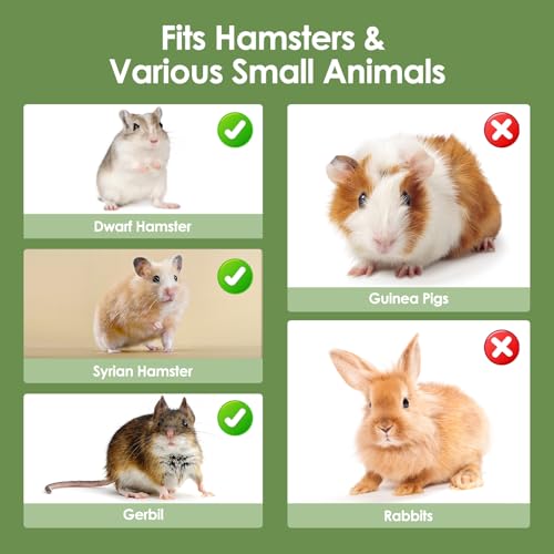 Acrylic Hamster Cage Clear Hamster Houses for Small Pet Mice | Running Wheel, Hideout, Food Bowl, 360 Viewing Transparent Pet Mice Cage for Syrian Dwarf Hamsters, Gerbils, Green - color: Green