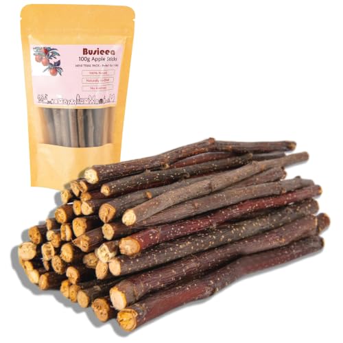 Premium Natural Apple Sticks - 100g/3.52 OZ MINI Trial Pack - Perfect for 1 Pet, Molar Chew Treats for Rabbits Chinchillas Guinea Pigs Hamsters Small Animals - size: 3.6 Ounce (Pack of 1)