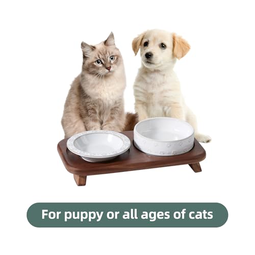 Havniva Ceramic Cat Food Bowl, 6.1" Raised Cat Bowls with Acacia Wood Stand | Elevated Cat Bowls, Whisker Friendly, Extra Wide Opening, Aesthetic Cat Dishes, Elegant Pet Bowls, Food-grade Ceramic, Kitten - color: 1Bowl+1Dish+Stand- Arctic White