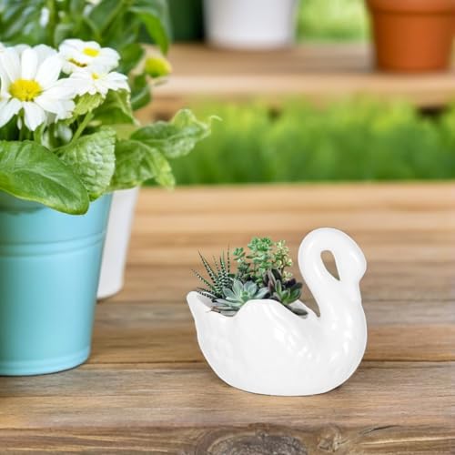 UPKOCH White Ceramic Swan Planter with Drainage Hole, Animal Figurine Succulent Pot for Indoor Outdoor Plants, Decorative Flower Vase Decor Bowl
