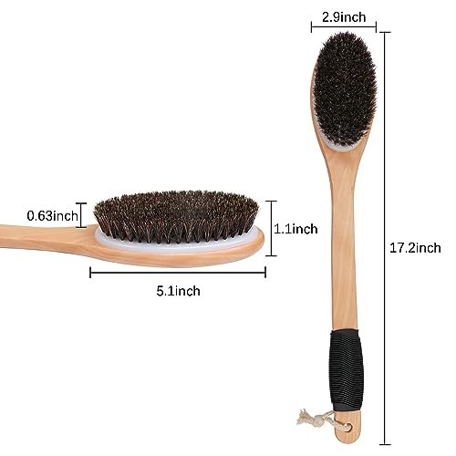 OWIIZI Antiskid Back Scrubber for Shower with Natural Horsehair Bristles | 17.2" Wooden Curved Long Handle Bath Brush,Shower Brush for Exfoliating,Back Scrub Deep Cleanse for Back Use Wet or Dry