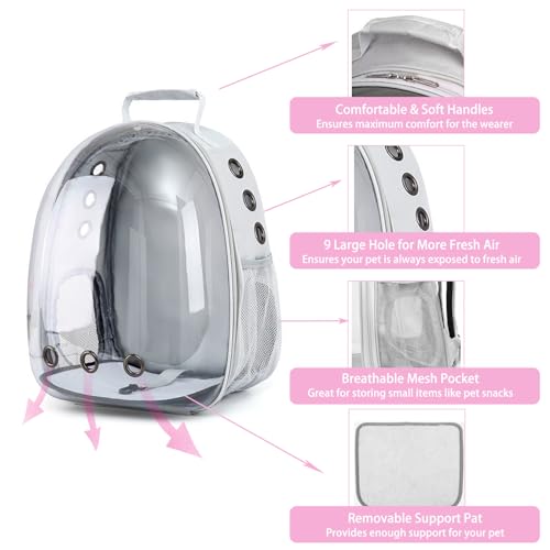 Rabbit Carrier Small Pet Carrier with Bunny Harness and Leash | Large Bunny Carrier Clear Bubble Window Small Animal Carrier for Guinea Pig Ferret Hedgehog Squirrel Kitten Travel Walking - color: Rabbit Carrier Backpack
