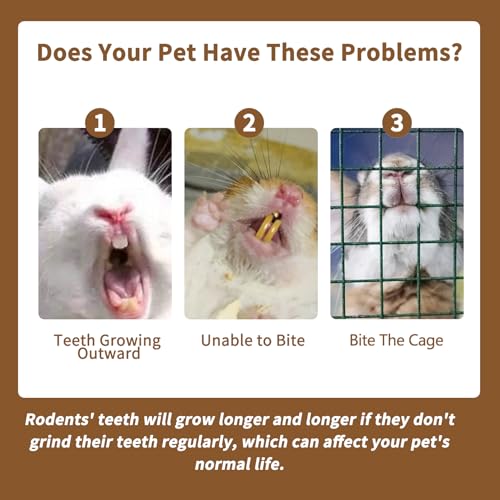 Fhiny 12 PCS Rabbit Chew Sticks, Natural Papaya Wood Seagrass Guinea Pig Chew Toys for Teeth Small Animal Molar Sticks Snacks for Bunny Guinea Pig Chinchilla Ferret Hamster Gerbil Dental Care