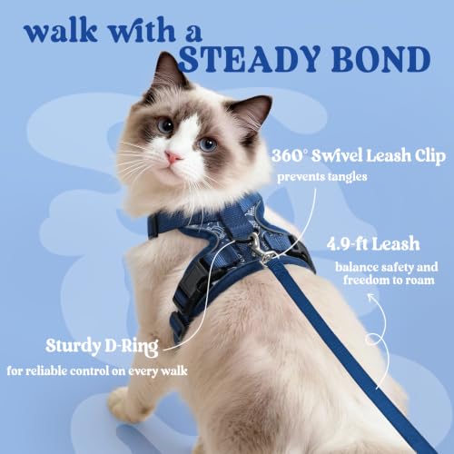 rabbitgoo Cat Harness and Leash Set, Escape Proof Vest, Cosmic Ace | Soft Breathable Mesh, Easy Adjustable Fit, Snap Buckles, Sturdy Clip, Reflective Strips, for Kittens & Small Cats Walks, Xxs - color: Cosmic Ace, size: Xxs