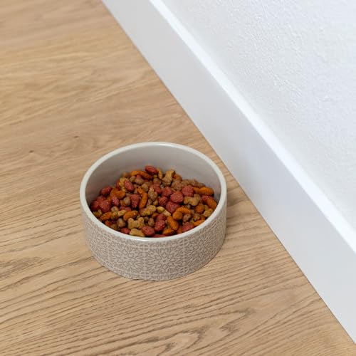 Fringe Studio Sevilla Tile Sand Medium Ceramic Imprinted Pet Bowl (6.5" Diameter x 2.5" H, 26 fl.oz.), PetShop Collection (785MD001) - color: Sevilla Tile Sand, size: Medium