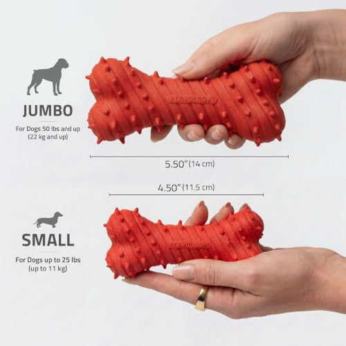 Playology Puppy Teething Bone Dog Chew Toy - Small, Beef Scent | Great For Puppies and Young Dogs, Teeting Nubs Soothe Gums, Durable Rubber, Small Breed - size: Small, style: Beef