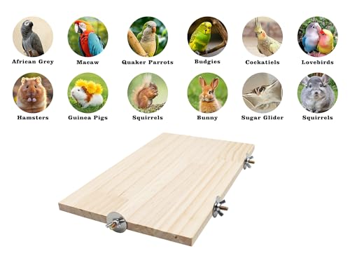 Large Bird Perch, Wooden Platform, Bird Playground, Parakeet Shelf Stand Platform, Bird Perches for Cage, Cage Accessories for Parrots, Rats, Chinchillas, Hamsters, Squirrels, Sugar Gliders
