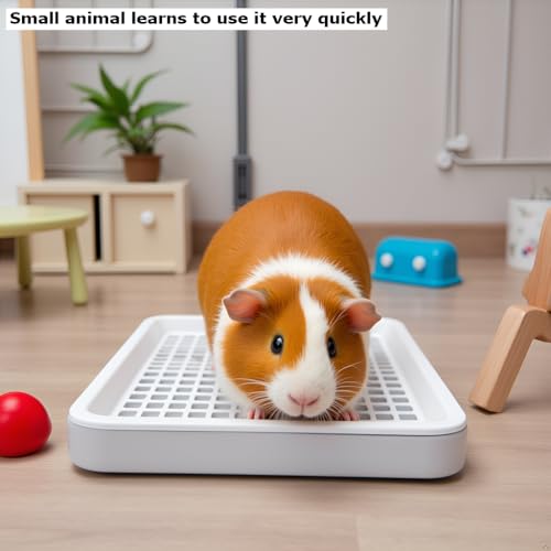 Generic Guinea Pig Toilet, Small Animal Potty Trainer Corner, Square Rat Litter Bedding Box with Small Broom, Dustpan, Small Pet Litter Toilet for Guinea Pigs, Chinchilla, Ferret,Galesaur…