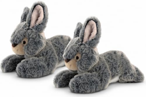 Fluff & Tuff Walter Wabbit Plush Dog Toy – 2 Pack, 12” Durable Stuffed Rabbit Dog Toy with Squeaker, Double-Stitched & Non-Toxic, Soft Yet Tough Plush for Dogs - size: 12 Inch (Pack of 2)