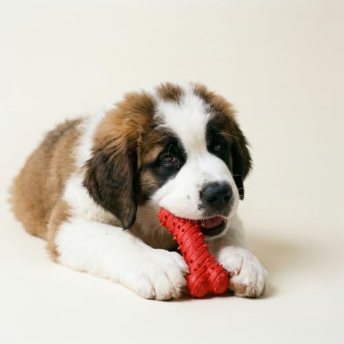 Playology Puppy Teething Bone Dog Chew Toy - Jumbo, Beef Scent | Great For Puppies and Young Dogs, Teeting Nubs Soothe Gums, Durable Rubber, Large Breed - size: Jumbo, style: Beef