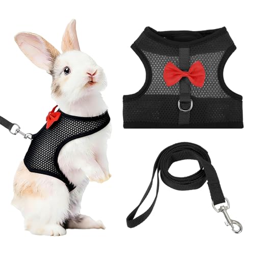 Rabbit Harness and Leash, Small Pet Cute Vest Harness Leash Soft Adjustable Buckle Breathable Mesh (L, Black) for Bunny Kitten Small Pig Puppies Camping Hiking Training - color: Black, size: L