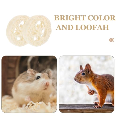 Veemoon 20pcs Hamster Bunny Pet Chewing Toy, Natural Loofah Small Animal Chew Tool Pet Molar Toy for Guinea Pig Chinchilla Hamster Rat Tooth Cleaning and Oral Care Stress Relief Entertainment