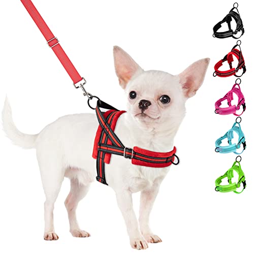 SlowTon No Pull Small Dog Harness and Leash Set with Front Clip | Soft Padded, Neck & Chest Adjustable, Lightweight, Anti-Twist, Puppy Vest Harness Pet Lead Combo for Small Medium Dog, R S - color: Red, size: Small