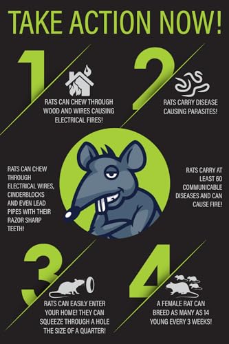 Rat Trap Six Pack - Powerful Reusable Traps for a Quick Kill Indoor or Out | Easy-Bait, Easy-Set Traps Catch Rats, Mice, Voles and Chipmunks Quickly Without Poison or Electricity - size: 6 Pack Rat Traps