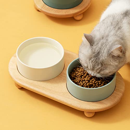 Havniva Raised Cat Bowl, 6.1” Elevated Ceramic Cat Food and Water Bowl Set | Cat Bowls Elevated, Whisker Friendly Cat Bowl, Non-Slip Wood Stand, Food-Grade Ceramic, Wide Opening, Dishwasher Safe - color: Light Yellow, size: 6.1inch - 2 Bowls+Stand