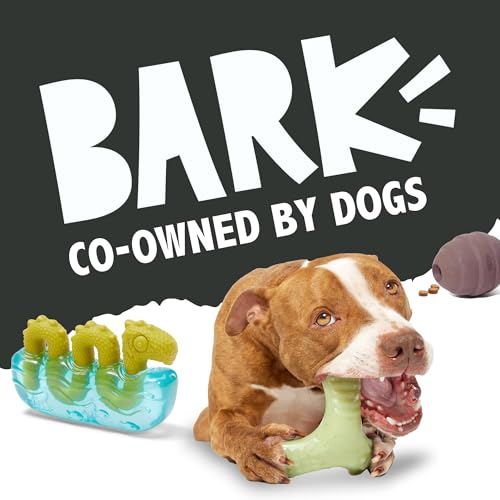 BarkBox Tug Tied Toad Dog Toy | for Tough Chewers - Durable Rubber Design, Perfect for Tug-of-War - color: Tug Tied Toad-Large