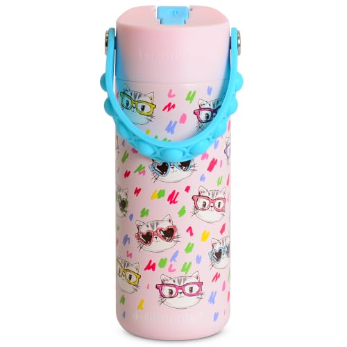 Elemental Insulated Kids Water Bottle, Stainless Steel Water Bottle with Straw Lid & Pop-It Handle, Leak-Proof Water Bottles for School, Boys or Girls, Travelling and Sports, 18oz - Stylish Cat - color: Stylish Cat