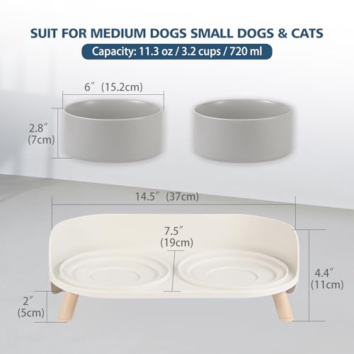 Elevated Ceramic Dog Bowl Set - Double Dog Feeding Bowls with Stand Splash Proof - Raised Dishes for Food and Water - Ideal for Small to Medium Dogs - 2 x 720 ml - 11.3 oz - Grey - color: Grey, size: Medium