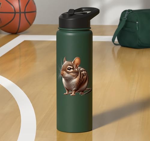 Degu Design Stainless Steel Insulated Water Bottle - color: Dark Green
