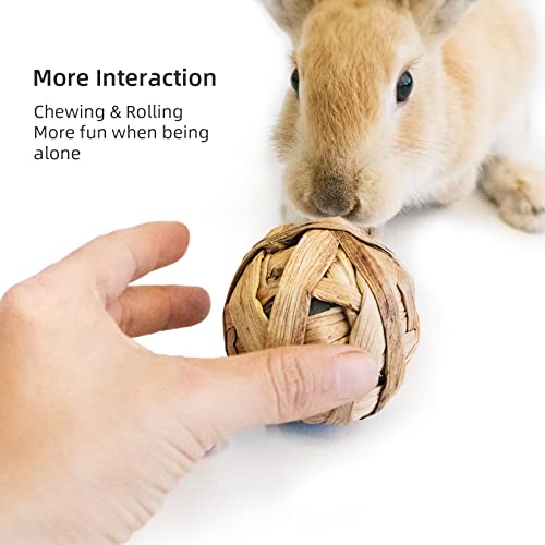 Niteangel Natural Chew Activity Toys: Meets Small Pet Chewing Needs & Mood | Helps Alleviate Teeth Grinding & Reduces Boredom - Fun Safe Hay Grass Balls for Chinchilla Guinea Pig Rats Rabbits Hamster - color: 6 Balls