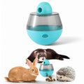Ferret Treat Ball Interactive Toy Balls for Small Animal, Enrichment Toys Ferrets Dry Food Ball for Ferrets Guinea Pig Rat Chinchilla Hedgehog Bunny, Pet Ferret Accessories (XL, Wiggle) - size: XL