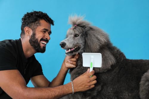 Andis 68565 Stainless-Steel Slicker Brush, Medium, Green | Curved bristles reduce shedding & promote hair growth, pet grooming brush, durable lightweight