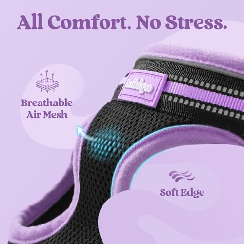 rabbitgoo Cat Harness and Leash Set, Step-in Soft Vest, Black-Light Purple | Escape Proof, Lightweight, Easy-on & Adjustable, Hook & Loop with Buckle, Reflective, for Kittens & Small Cats Walks, M - color: Black-Light Purple, size: M