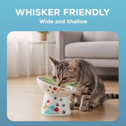 Necoichi Ceramic Elevated Cat Food Bowl, 15° Tilted (Fuji, Regular Tilted) - color: Fuji, size: Regular Tilted