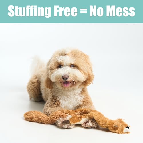 SPOT Skinneeez Squirrel 23-Inch Stuffing-Free Plush Dog Toy – Realistic Design with 2 Squeakers – Durable, Soft Polyester for Medium & Large Dogs – Tug, Fetch & Shake Play – for Moderate Chewers - style: Squirrel