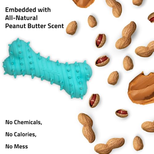 Playology Puppy Teething Bone Dog Chew Toy - Jumbo, Peanut Butter Scent | Great For Puppies and Young Dogs, Teeting Nubs Soothe Gums, Durable Rubber, Large Breed - size: Jumbo, style: Peanut Butter