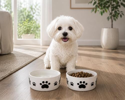 Ceramic Dog Bowls Set, 5''×2'', with Anti-Slip Rings, 2 Cups Capacity - size: 5 in