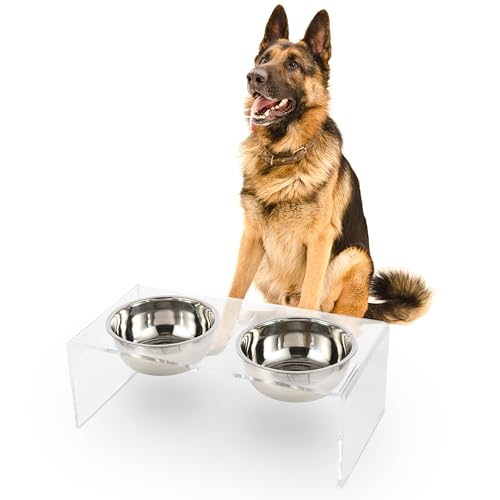 DBL2001A Keaton 7.5" Medium/Large Modern Lucite Rectangular Elevated Pet Feeder with 54oz 2-Stainless Steel Bowls, Clear/Chrome - color: Clear/Chrome, size: 54 Ounces (7.5" Cups 2-Pack)