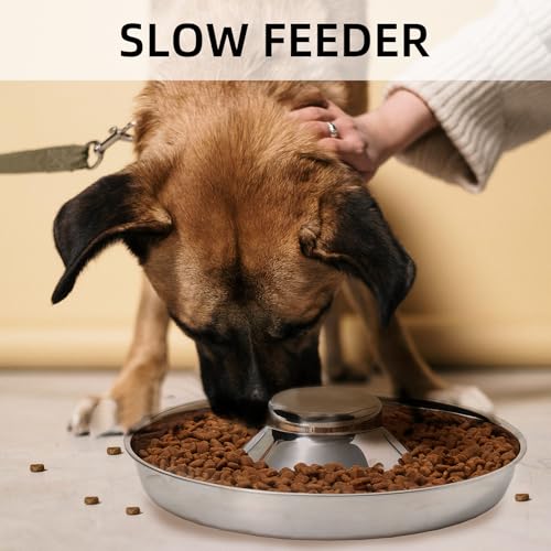 2 Pack Stainless Steel Puppy Bowls, Dog Feeding Bowl | Mush Feeder for Litters, Shallow Weaning for Food and Water, Multiple Dishes - size: S-10.2in/4¼ cups