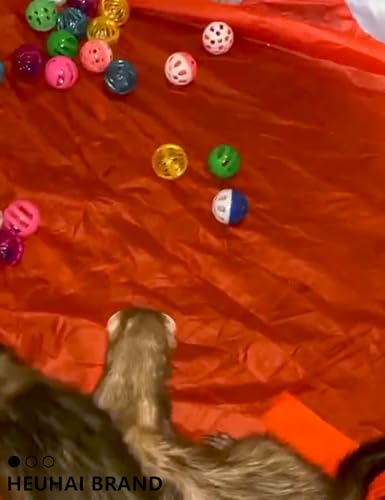 10 Pack Hollow Plastic Play Balls, Assorted Shapes for Ferrets | Multi Style Hollow Plastic Balls, Built In Small Bells, Smooth Pp Plastic Material, Mixed 1.5–2.7 Inch Sizes - size: 1.5'' - 2.7''
