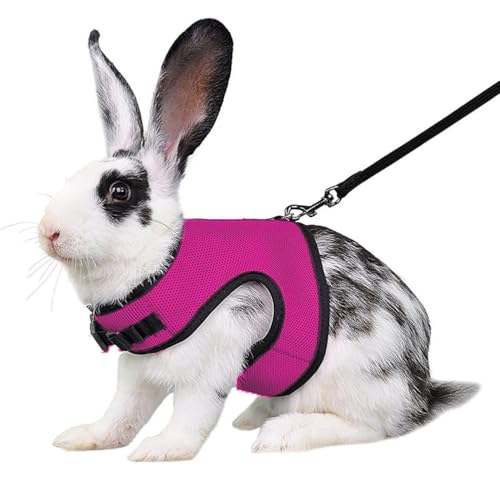 Hot Pink Rabbit Harness and Leash Set Ferret Harness Bunny Vest, M | Quick-release, Breathable, Escape Proof, Suit For 2-3months Young Rabbit, 2-4months Ferret, 3-5months Guinea Pig - color: Hot Pink, size: M