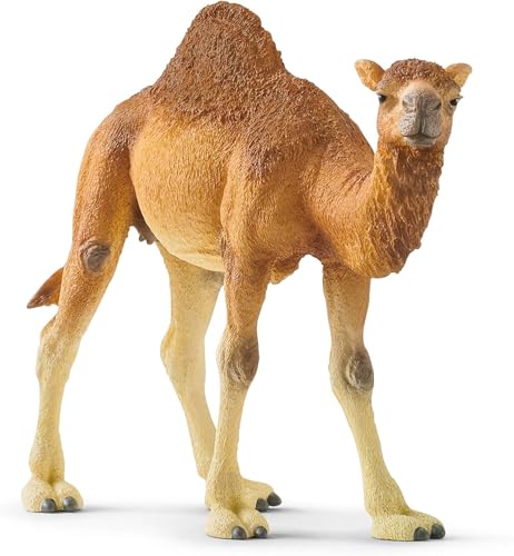 schleich Wild Life - 4" Dromedary Figurine with Realistic Hump - Durable Safari Camel Toy for Tactile Imaginative Play - Desert Animal Figure Educational Toy for Children - Kids Ages 3+ | 14832