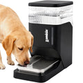 ZOMISIA Automatic Dog Water Dispenser 8L with Stainless Steel Bowl, Gravity Large Capacity Water Bowl for Dogs, 2 Gallon Pet Waterer 100% BPA Free, Black - color: Black, size: 8L