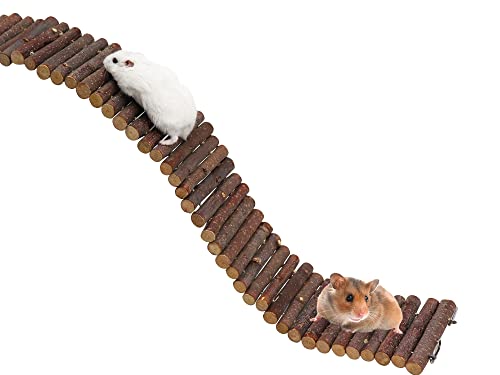 Rat Ladder Bridge, Wooden Hamster Climbing Ladder Toy, Small Animals Cage Accessories for Bird Parrot Hamster Mouse Rat Sugar Glider Hermit Crab Sugar Glider Chinchilla(23.62x3.14 Inches) - color: Apple Wood