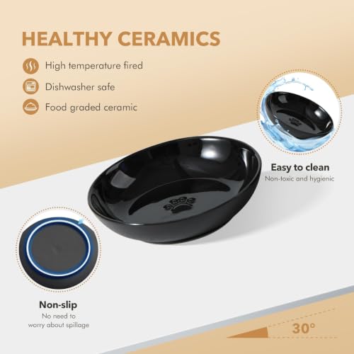 Havniva Elevated Cat Bowls, Cat Food and Water Bowl Set, Ceramic Cat Bowl | Raised Cat Food Bowls, Whisker Friendly, 5.6” Shallow Cat Dishes + 6” Wide Cat Plates, Non-Slip Wood Stand, Two Heights - color: Black, size: 2 Bowls+2 Dishes