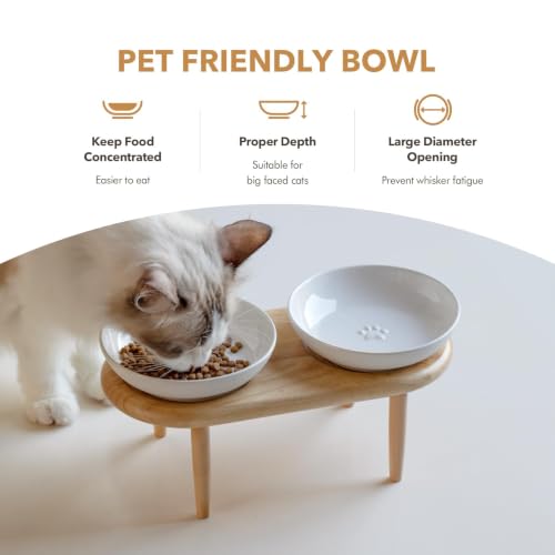 Havniva Elevated Cat Bowls, Cat Food and Water Bowl Set, Ceramic Cat Bowl | Raised Cat Food Bowls, Whisker Friendly, 5.6” Shallow Cat Dishes, Wide Cat Plates, Non-Slip Wood Stand, Two Heights - color: White, size: 2 Bowls