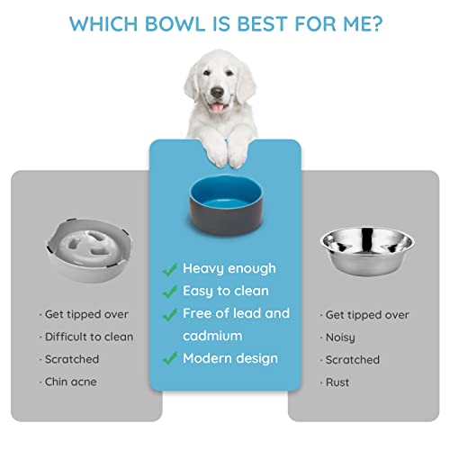 SPUNKYJUNKY 13.5OZ Ceramic Dog and Cat Bowl, Modern Cute Weighted Food Water Bowl for Replacement Blue-Grey (1 Pack) - color: Blue-grey, size: 1.7 CUPS
