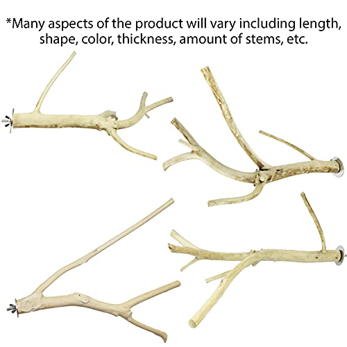 Multi-Branch Perch (Small) - Durable Natural Climbing Branch Perch Cage Accessory - Sugar Gliders, Squirrels, Prairie Dogs, Degus, Marmosets, Monkeys, Parrots, Birds, Rats, Reptiles, Amphibians