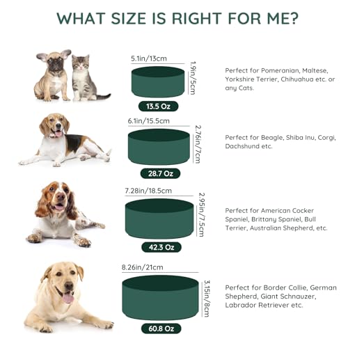 SPUNKYJUNKY 13.5OZ Ceramic Dog and Cat Bowl, Modern Cute Weighted Food Water Bowl for Replacement Green (2 Pack) - color: Green, size: 1.7 CUPS × 2