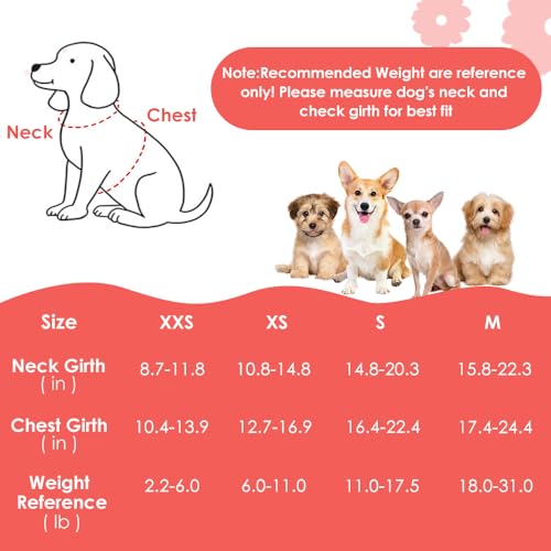 SlowTon No Pull Dog Harness with Leash for Small Medium Dogs, Strawberry XXS - color: Pink Strawberry, size: XX-Small(2.2-6lb)