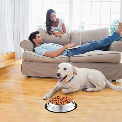10 Pcs Stainless Steel Dog Bowl Pet Feeding Bowl with Rubber Base Non-Slip Pet Dishes Metal Dog Bowls Pet Food and Water Bowls for Small Medium Animals Kitten Rabbit (30 oz) - size: 30 oz