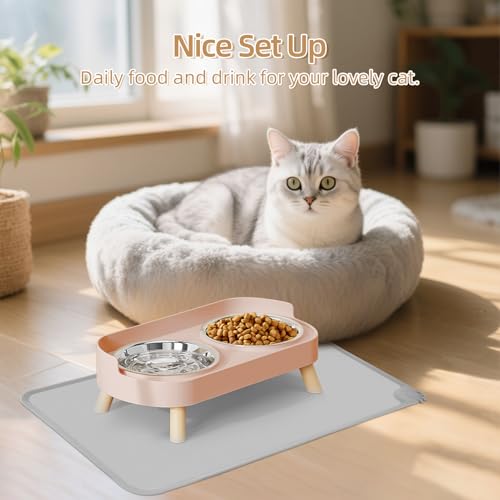 Elevated Cat Bowl with Food Mat, Raised Cat Food and Water Bowl Set for Indoor Cats, Splash Proof with 2 Stainless Steel Pet Food Bowls for Cats and Puppies,Whisker Fatigue and Dishwasher Safe (Pink) - color: Cat Bowls with mat - pink